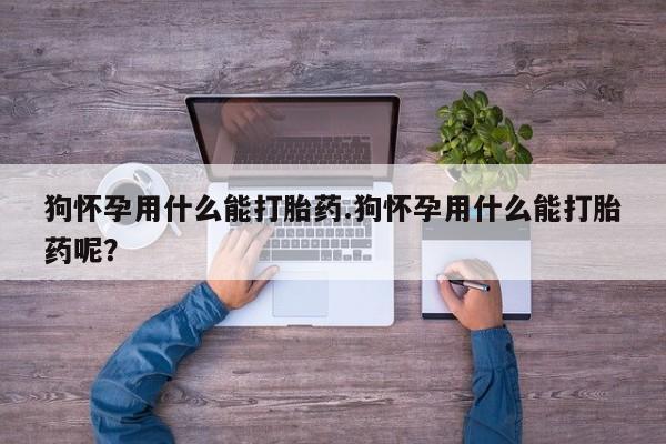 米非司酮片在线购买狗怀孕用什么能打胎药.狗怀孕用什么能打胎药呢？