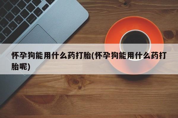 米非司酮片在线购买怀孕狗能用什么药打胎(怀孕狗能用什么药打胎呢)